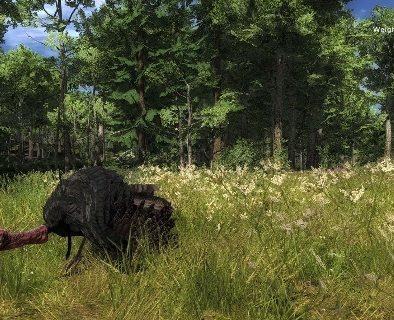 Скриншот The Hunter (2013) PC